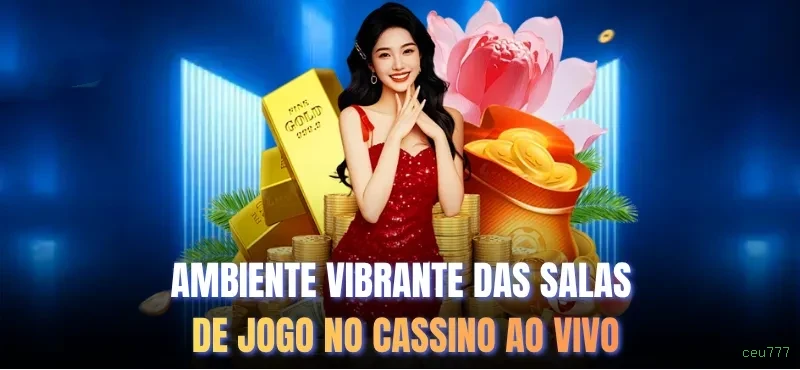 Suporte Login